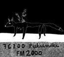 76100 Pieks&#228;m&#228;ki