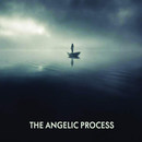 The Angelic Process