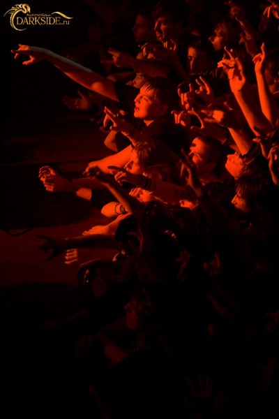 Amatory 