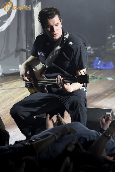 Amatory 