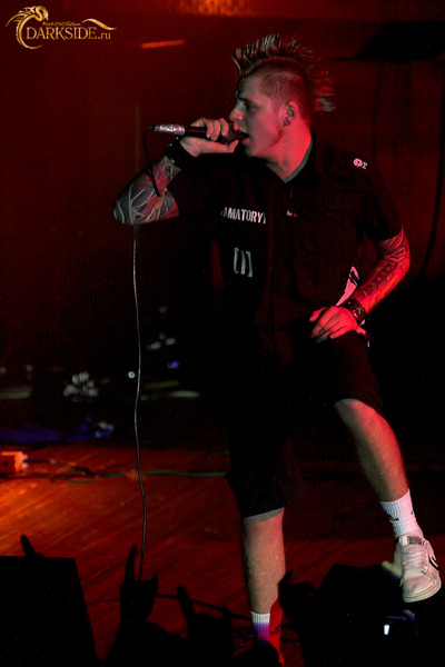 Amatory 