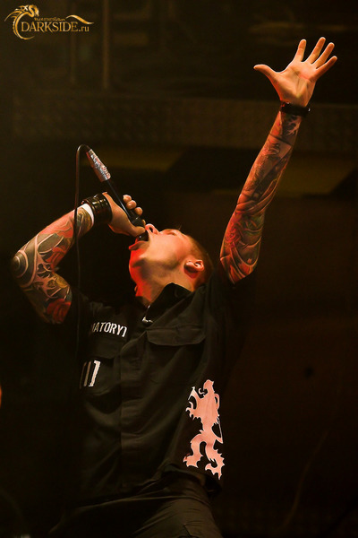 Amatory 