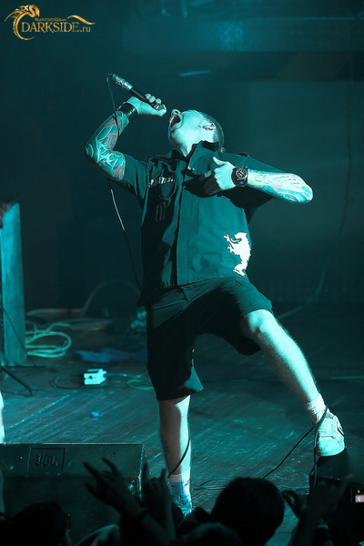 Amatory 