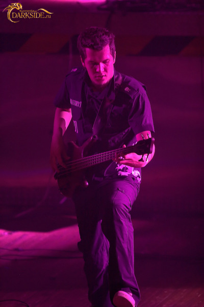 Amatory 
