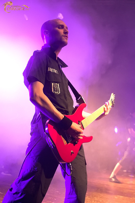 Amatory 