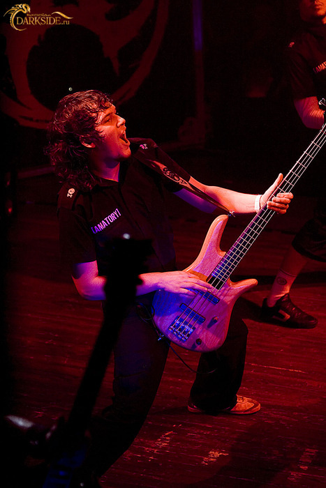 Amatory 