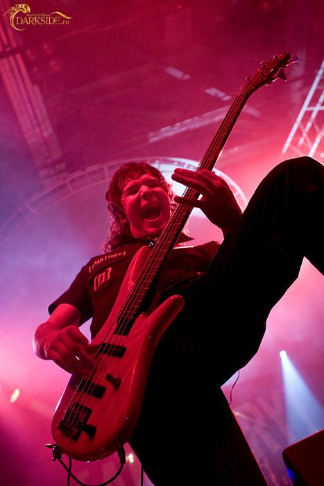 Amatory 