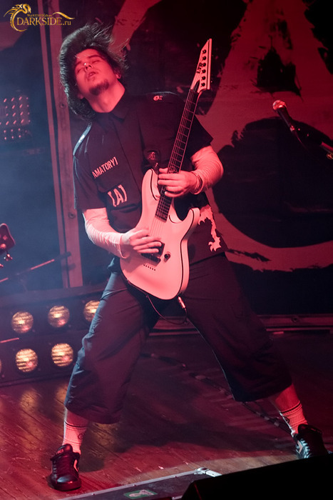 Amatory 