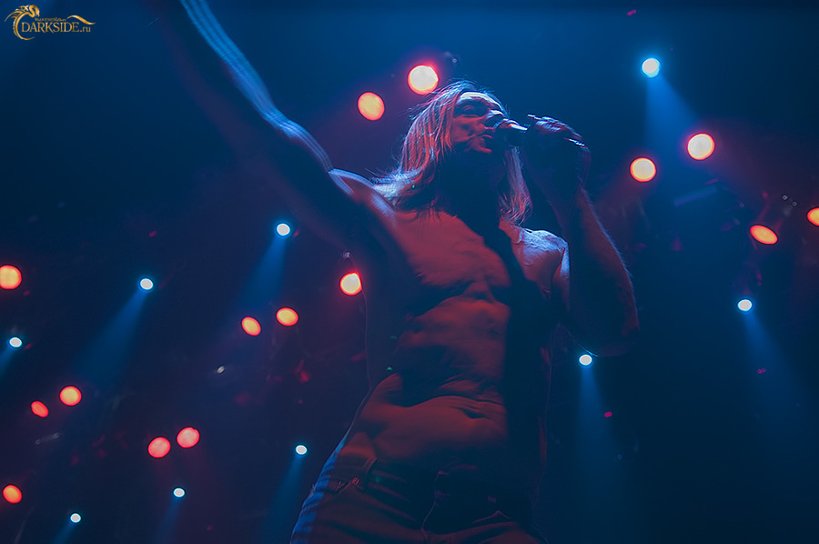 Iggy Pop 