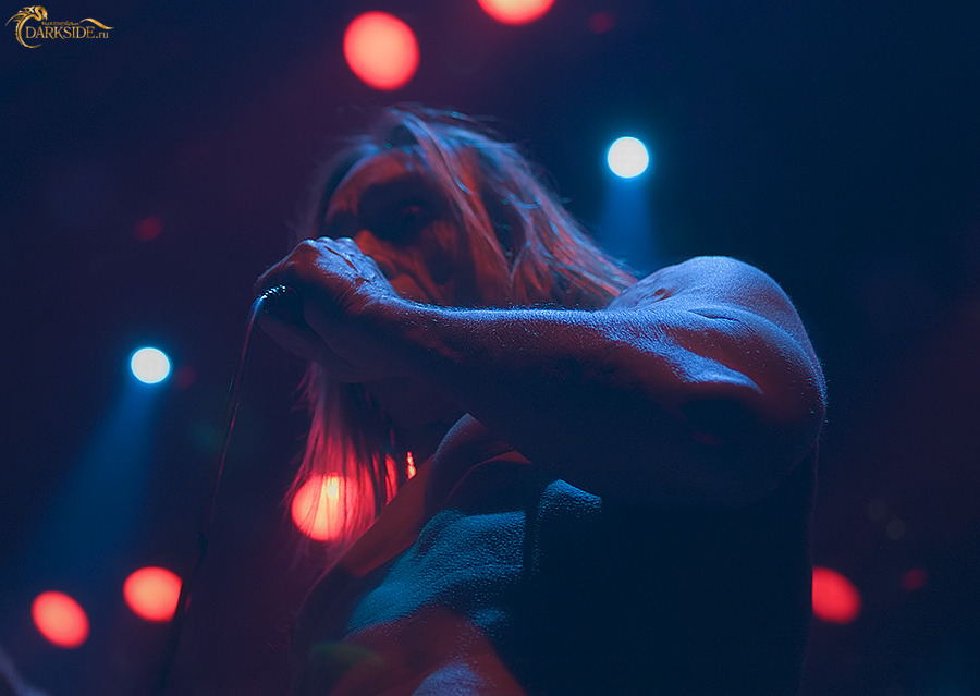 Iggy Pop 