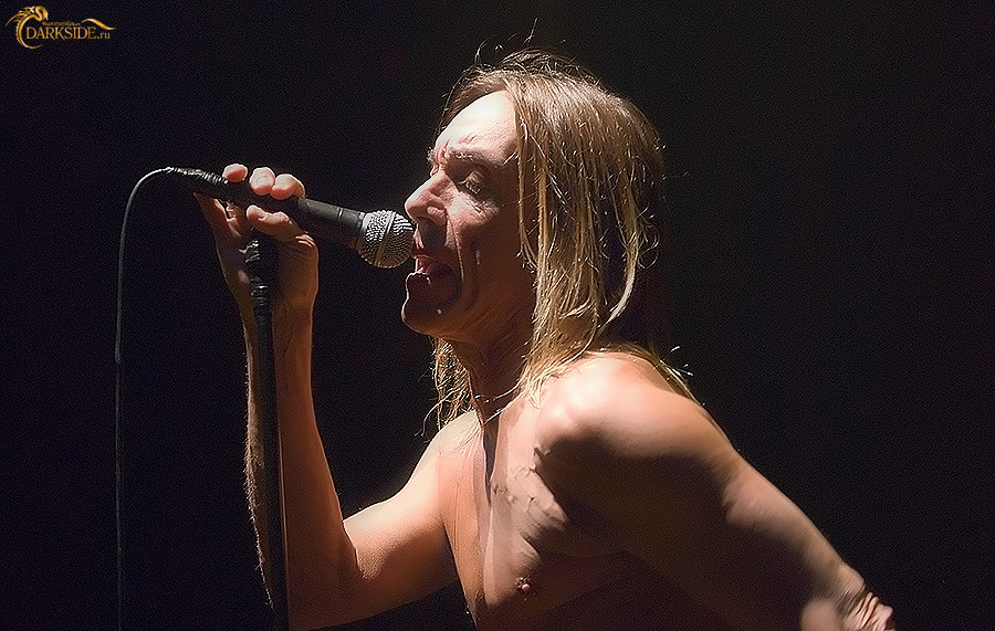 Iggy Pop 