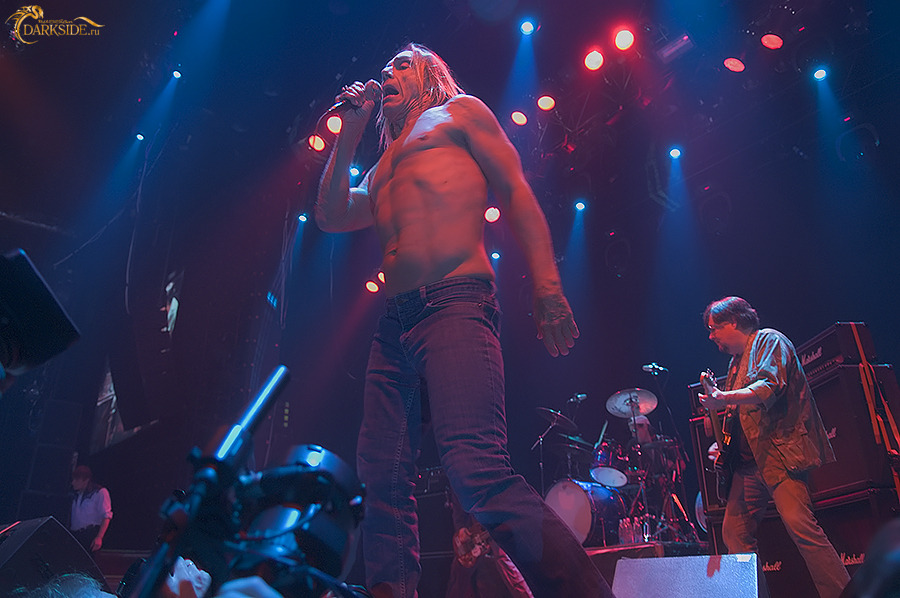Iggy Pop 