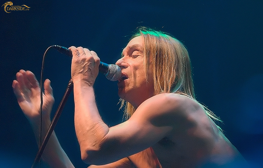 Iggy Pop 