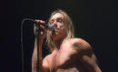 Iggy Pop 