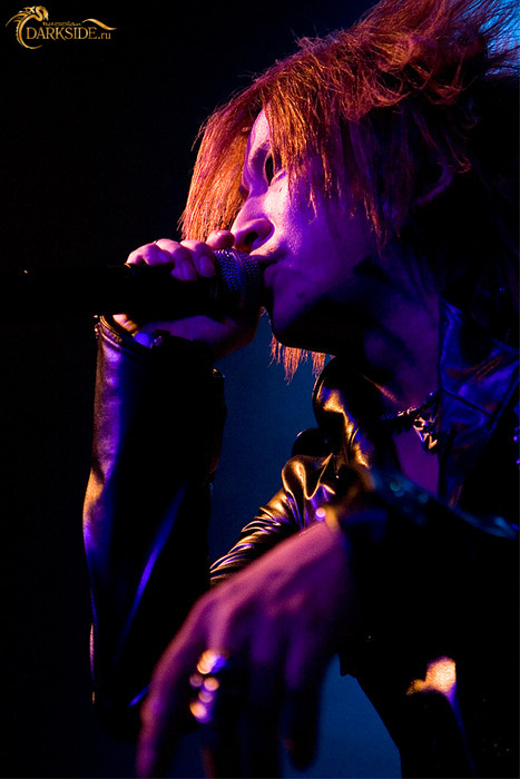 The GazettE 