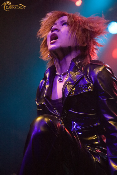 The GazettE 