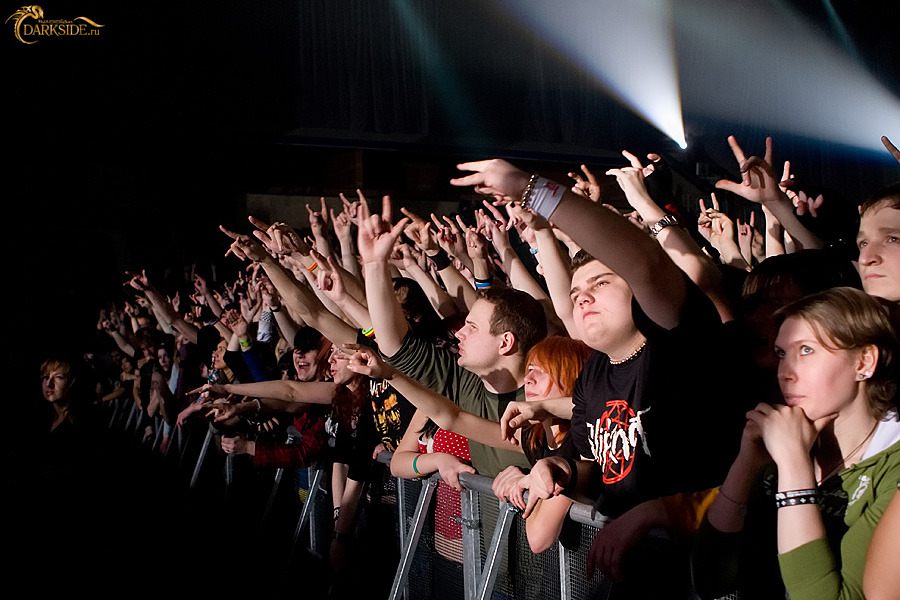 Amatory 