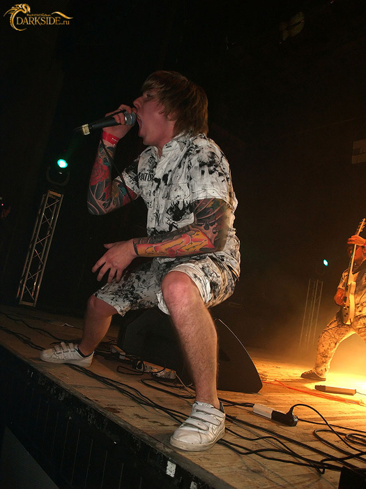 Amatory 