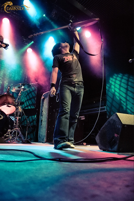 Electric Eel Shock  