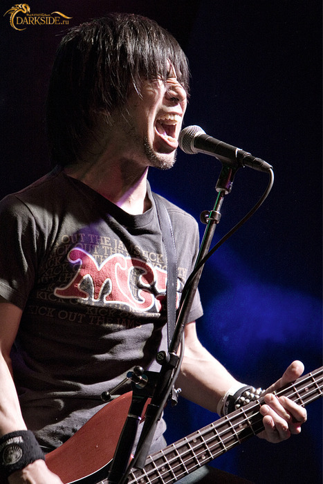 Electric Eel Shock  