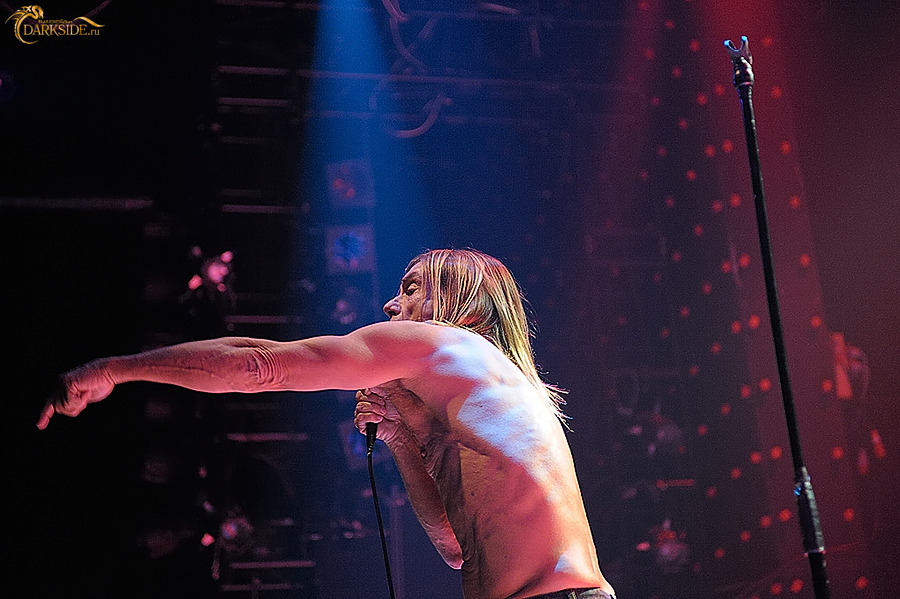 Iggy and the Stooges 