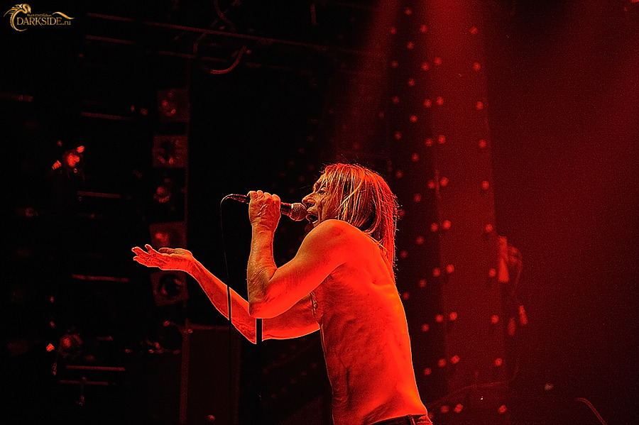 Iggy and the Stooges 