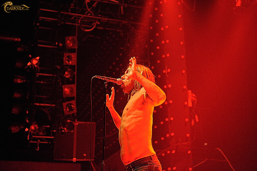 Iggy and the Stooges 