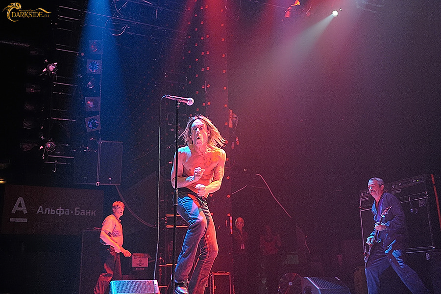 Iggy and the Stooges 