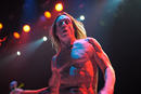 Iggy and the Stooges 