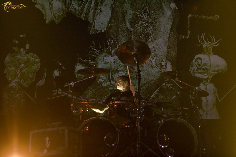 Korn 