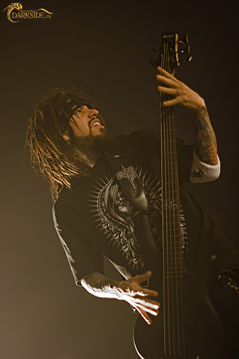 Korn 