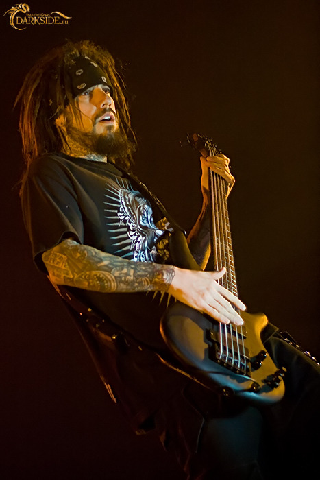 Korn 