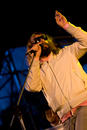 Sebastien Tellier 