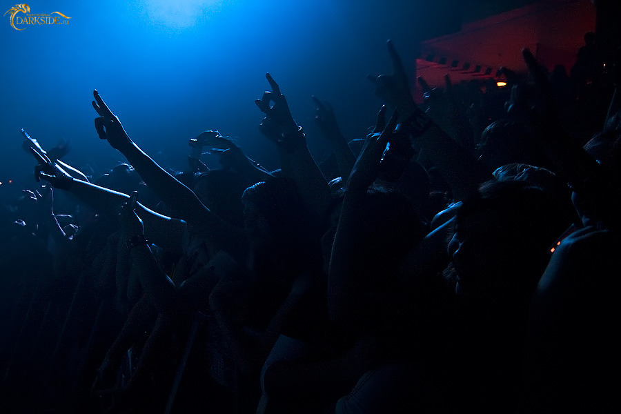 Amatory 