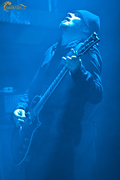 Amatory 