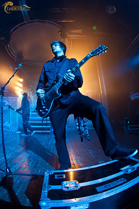 Amatory 