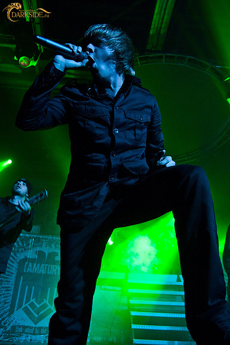 Amatory 