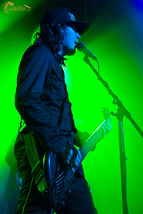 Amatory 