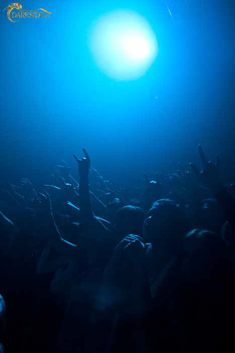 Amatory 