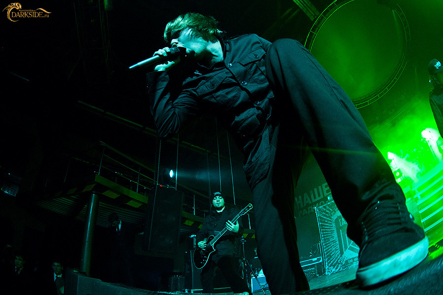 Amatory 