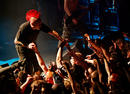 The Exploited 