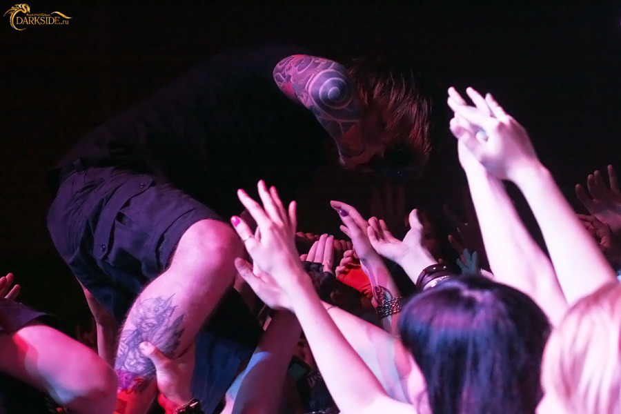 Amatory 