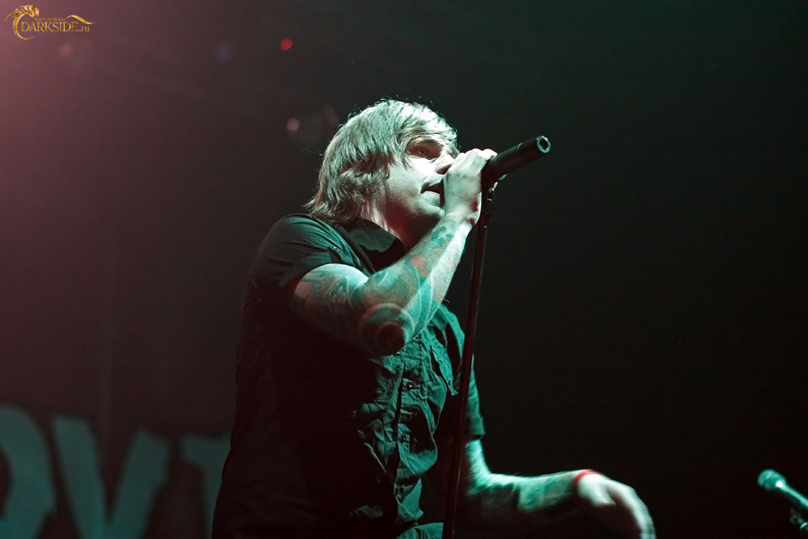Amatory 