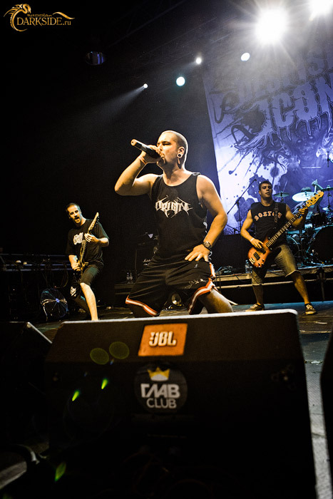 Despised Icon 