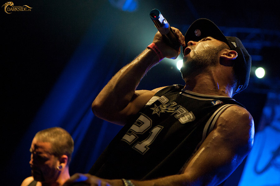 Despised Icon 
