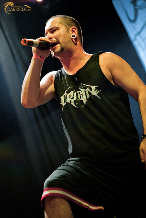 Despised Icon 