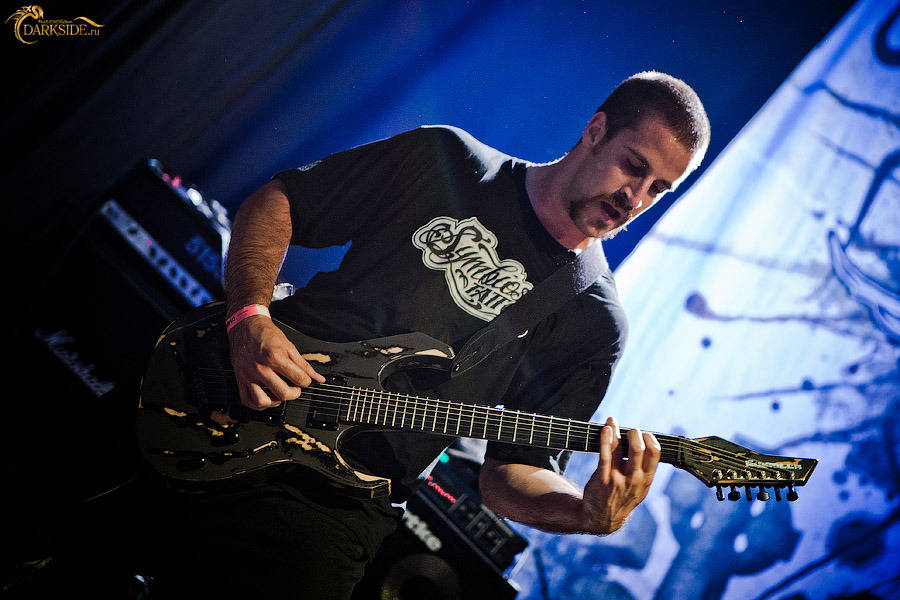Despised Icon 