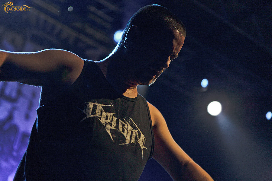 Despised Icon 