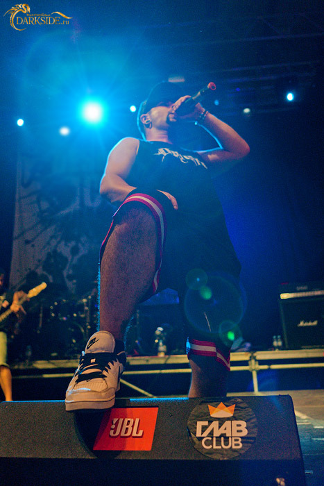 Despised Icon 