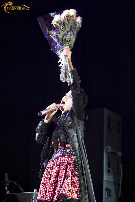 The Cranberries 